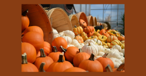 Pumpkin patch | Performance Columbus in Columbus, OH