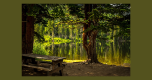 State park | Performance Columbus in Columbus, OH