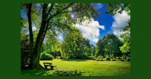 Park | Performance Columbus in Columbus, OH