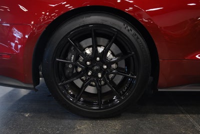 2019 Ford Mustang Shelby GT350
