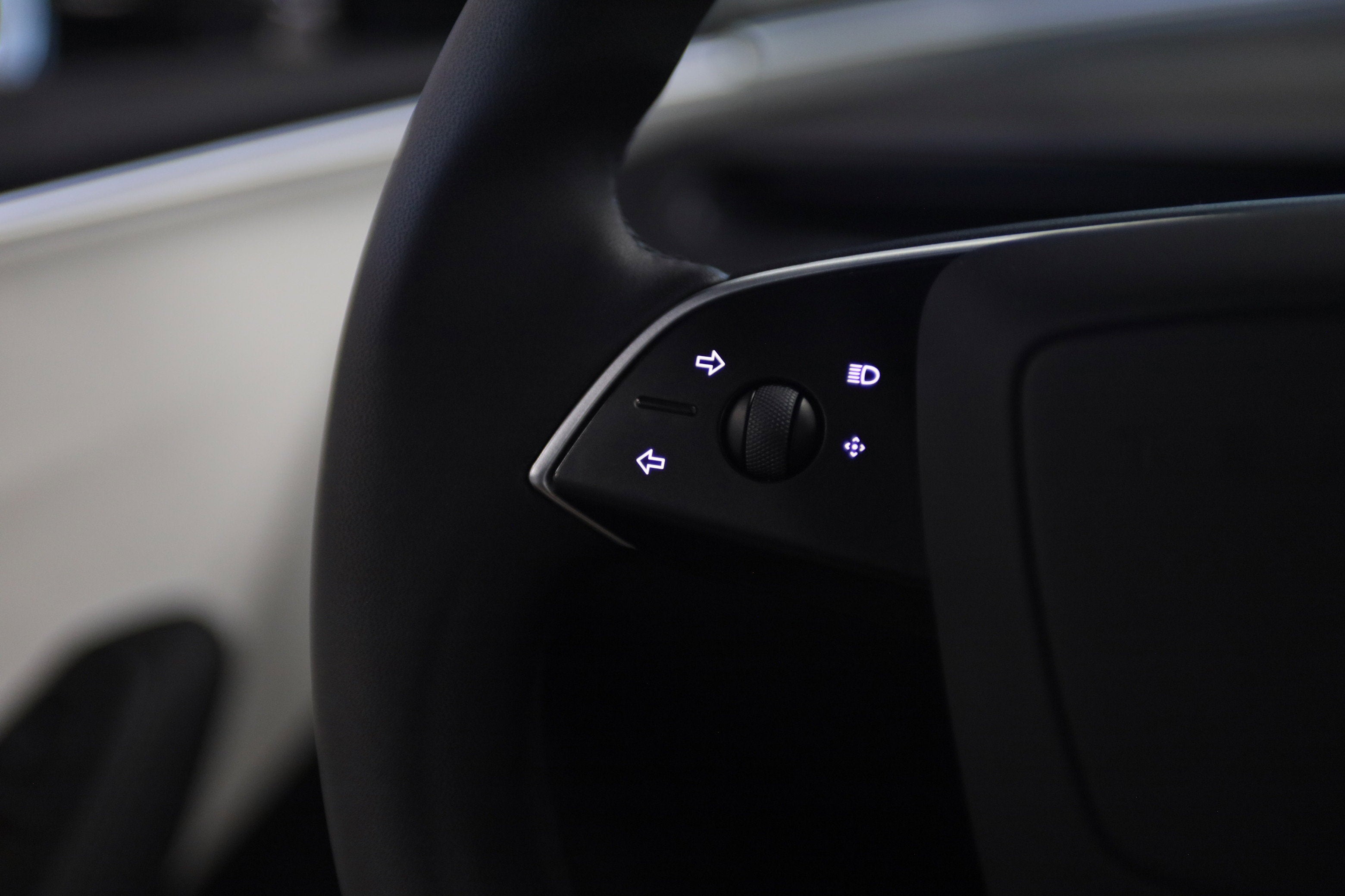 2025 Tesla Model 3 Performance