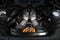 2025 Ferrari 296 GTB Base