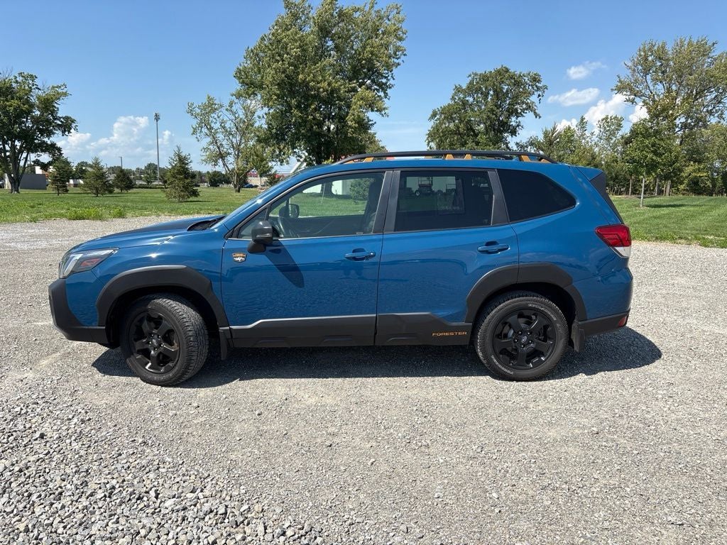 2023 Subaru Forester Wilderness