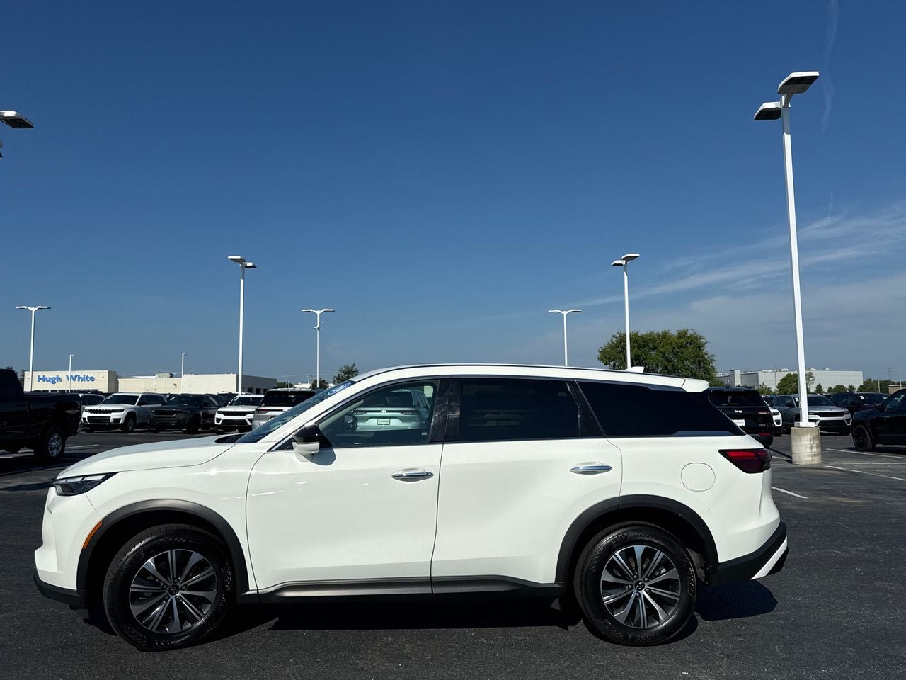 2024 INFINITI QX60 PURE AWD