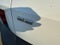 2021 Ford Escape Hybrid SE