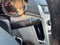 2014 Cadillac CTS Base
