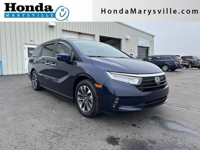 2024 Honda Odyssey EX-L