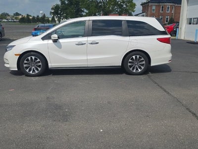 2024 Honda Odyssey EX-L