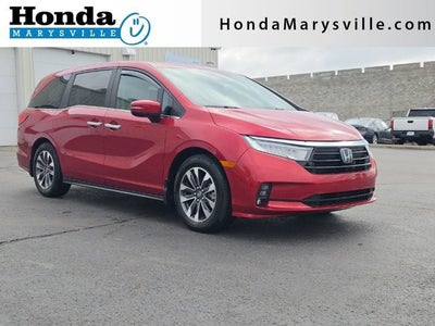2024 Honda Odyssey EX-L