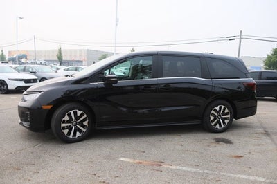 2026 Honda Odyssey EX-L Auto