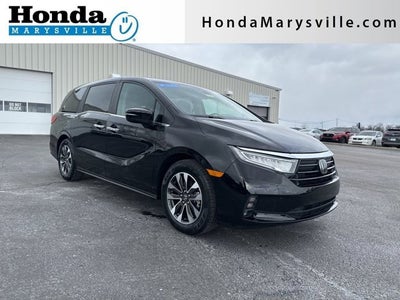 2024 Honda Odyssey EX-L