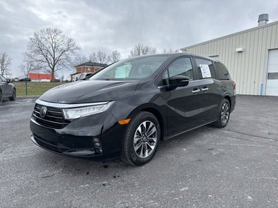 2024 Honda Odyssey EX-L