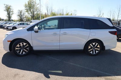 2026 Honda Odyssey EX-L Auto