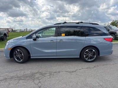 2024 Honda Odyssey Elite