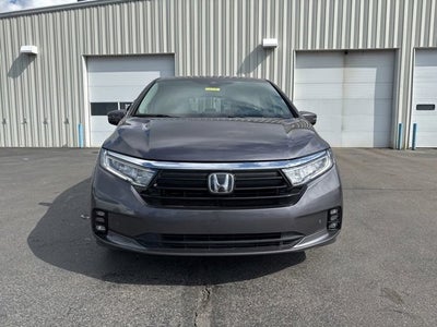 2021 Honda Odyssey Elite