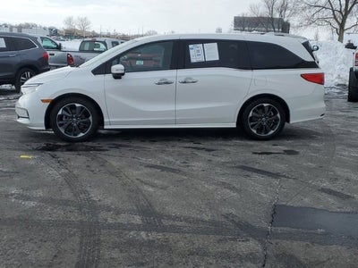 2024 Honda Odyssey Elite