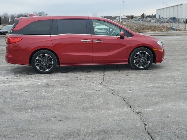 2024 Honda Odyssey Elite