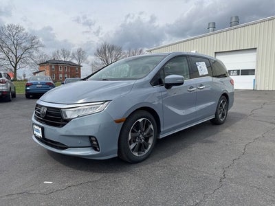 2023 Honda Odyssey Elite