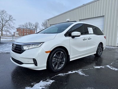2023 Honda Odyssey Elite