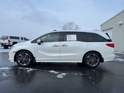2023 Honda Odyssey Elite