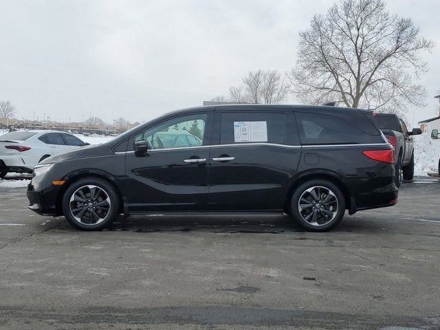 2023 Honda Odyssey Elite