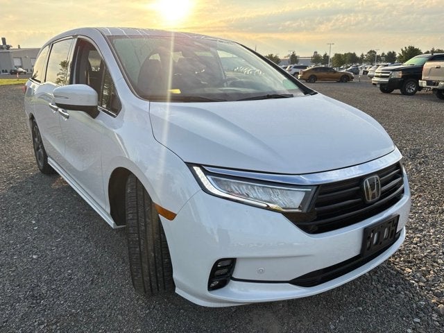 2024 Honda Odyssey Elite