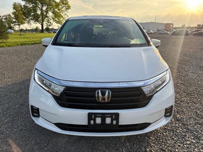 2024 Honda Odyssey Elite