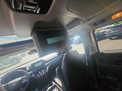 2024 Honda Odyssey Elite
