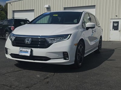 2024 Honda Odyssey Elite