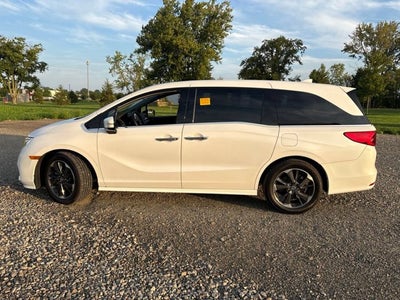 2024 Honda Odyssey Elite