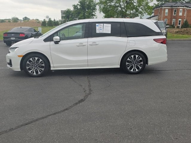 2025 Honda Odyssey Elite