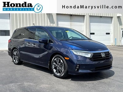 2023 Honda Odyssey Elite
