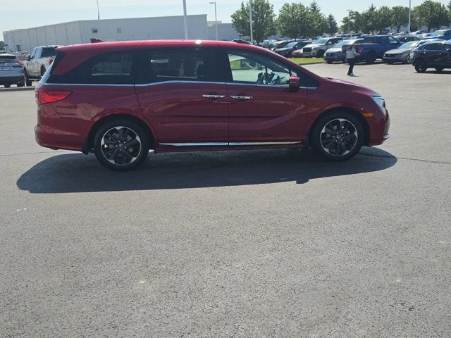 2024 Honda Odyssey Elite