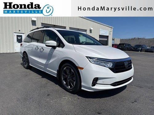 2024 Honda Odyssey Elite