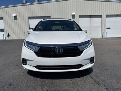 2024 Honda Odyssey Elite