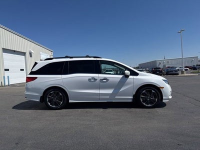 2024 Honda Odyssey Elite