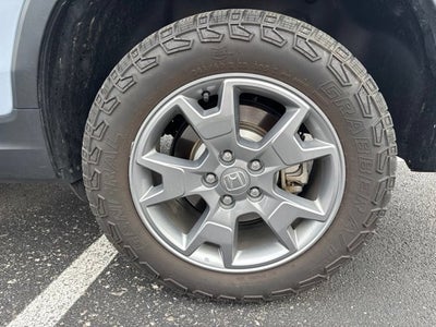 2025 Honda Passport TrailSport