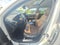 2019 Acura MDX 3.5L Advance Package