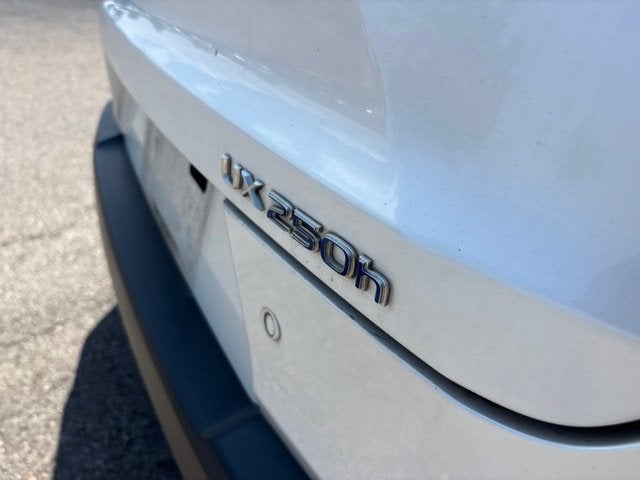 2020 Lexus UX 250h Base