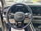 2025 Kia Carnival SX