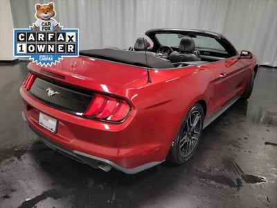 2022 Ford Mustang EcoBoost