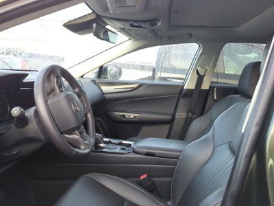 2024 Lexus NX 250 Base