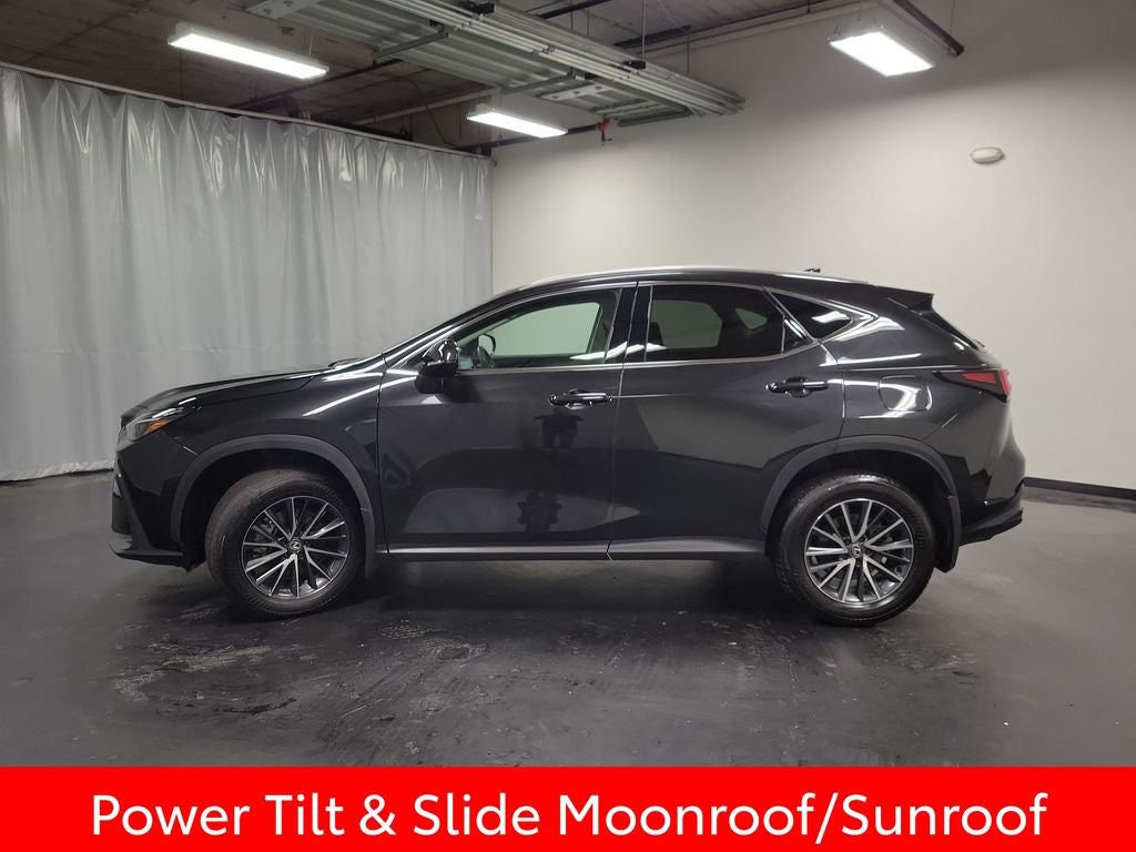 2024 Lexus NX 350 Base