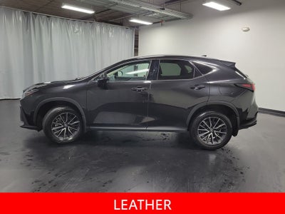 2024 Lexus NX 350 Premium