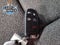 2025 RAM ProMaster 2500 Base