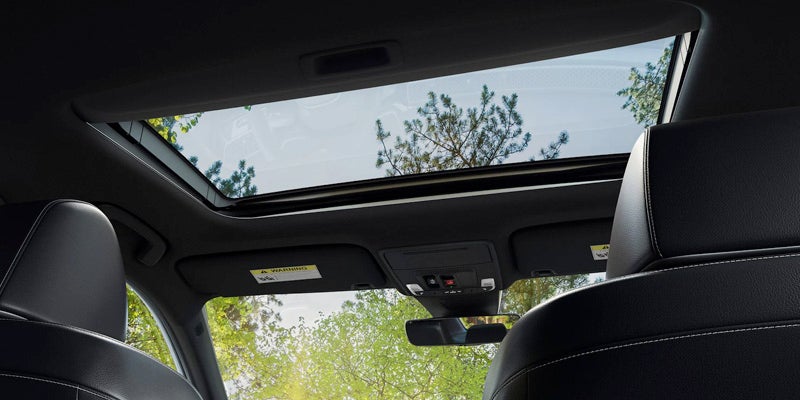 2025 Honda Civic interior